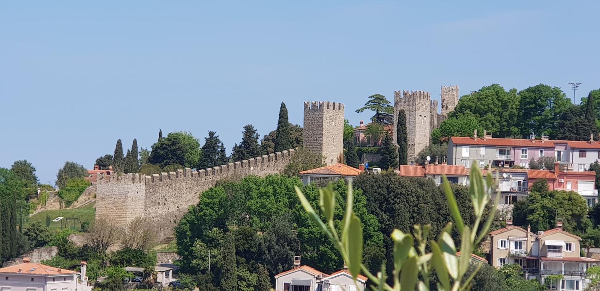 Studio Apartment Moro 2 Piran Bagian luar foto